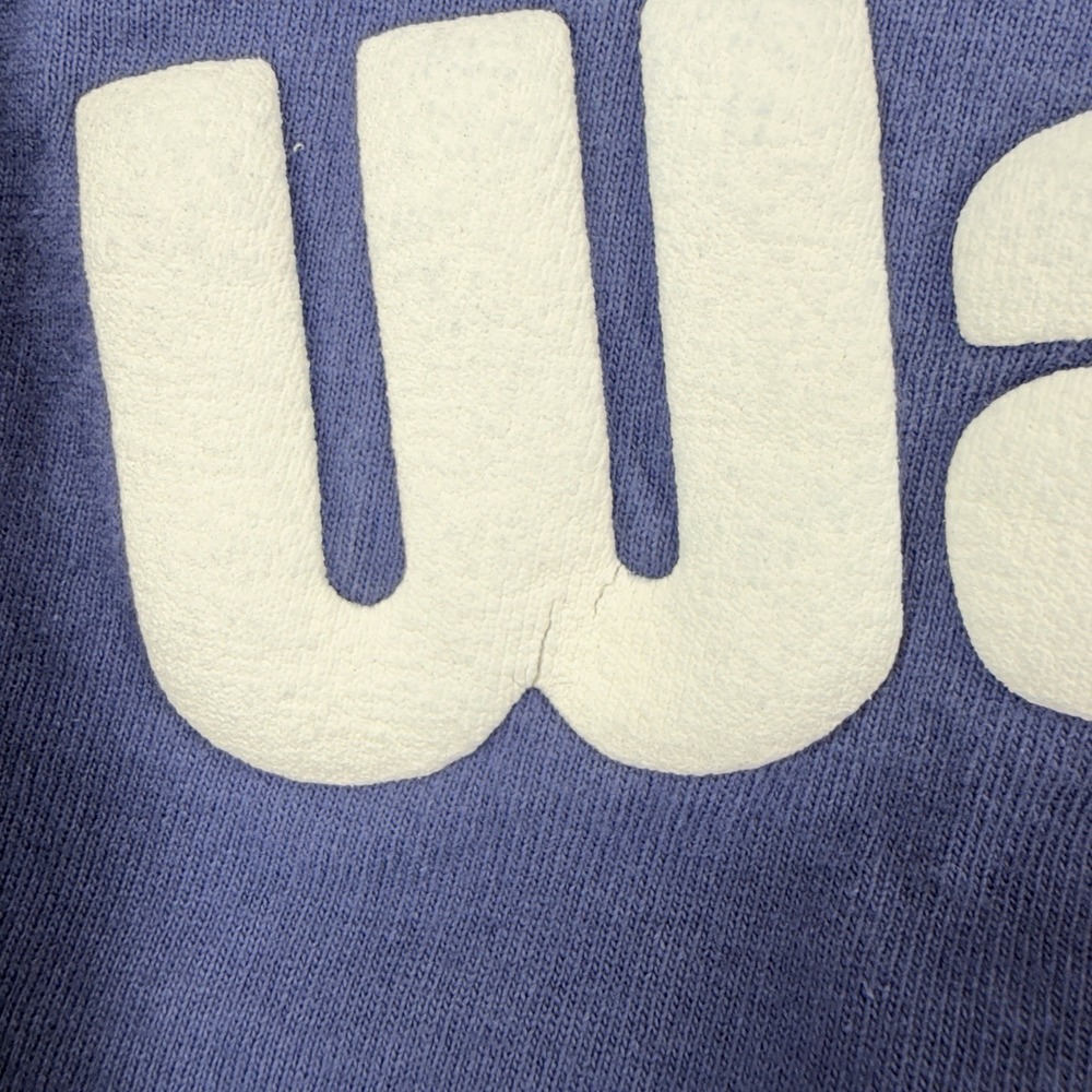 Disney Parks Spirit Jersey Small Walt Disney World Est 1971 Blue Long Sleeve USA - Picture 5 of 9